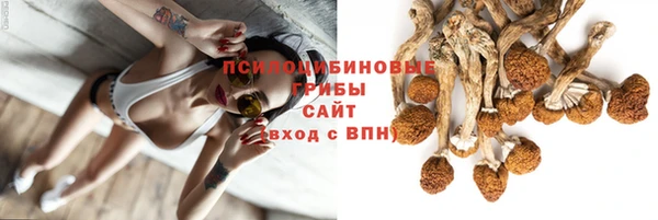 бошки Абинск