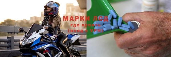 ПСИЛОЦИБИНОВЫЕ ГРИБЫ Абаза