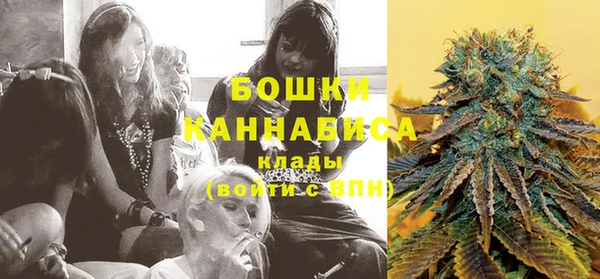 apvp Осинники
