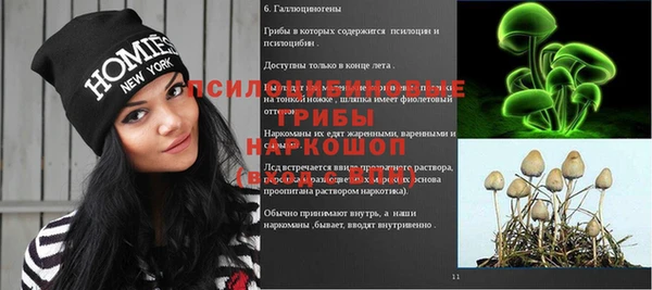бошки Абинск